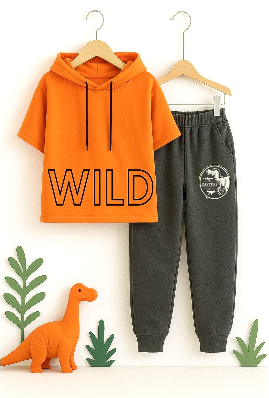 Dino Dash Hoodie Co-ord Set