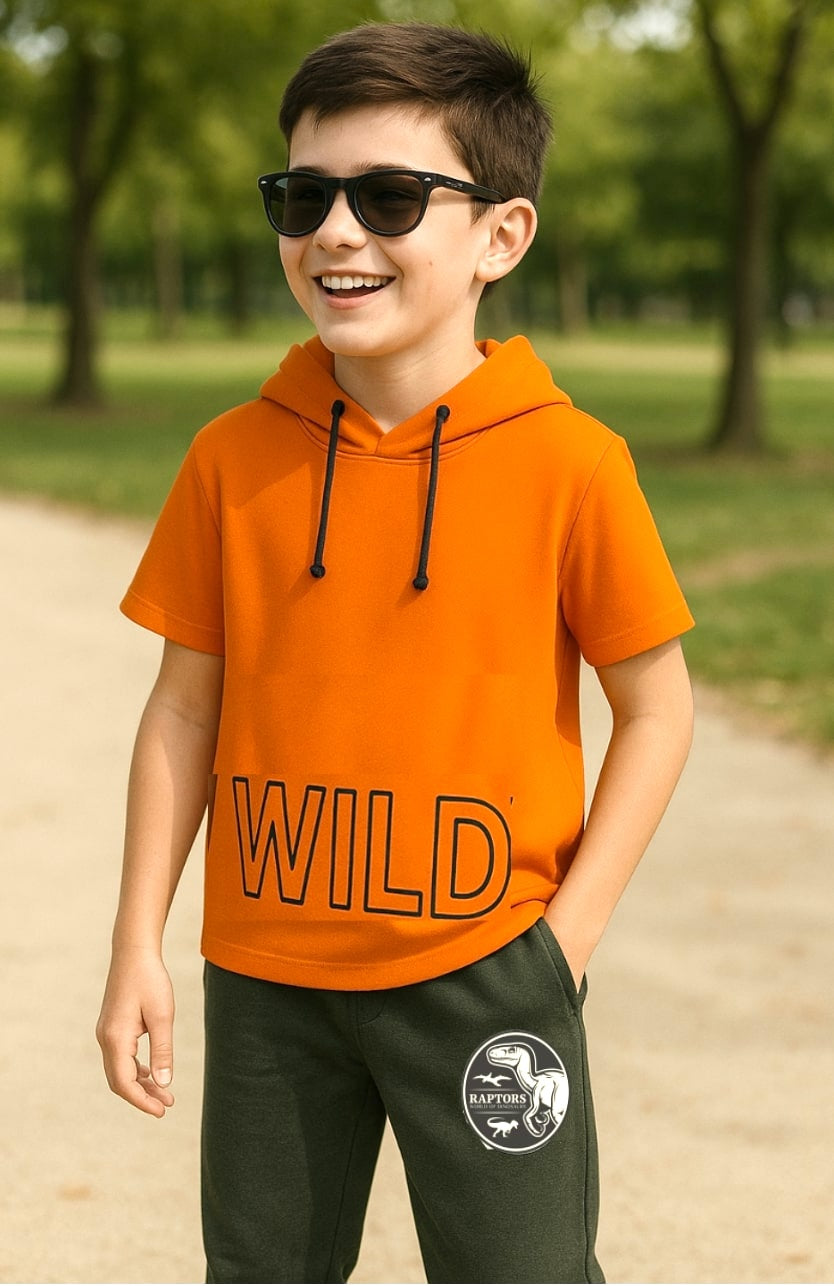 Dino Dash Hoodie Co-ord Set